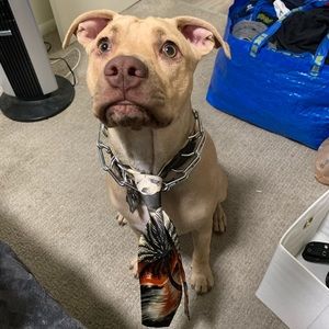 Meet your Posher, Christopher